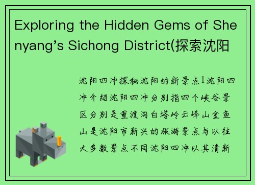 Exploring the Hidden Gems of Shenyang's Sichong District(探索沈阳四冲区的隐藏宝藏)